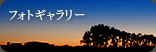 フォトギャラリー
