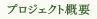 プロジェクト概要