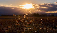 真如ヤーナだよりのイメージ写真 提供：真如苑