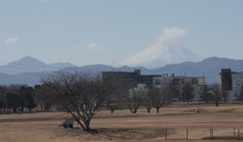 真如ヤーナだよりのイメージ写真 提供：真如苑